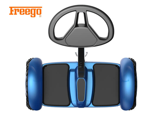 Van het de Fabrieks in het groot slimme saldo van China wielen 2 hoverboard met bluetooth
