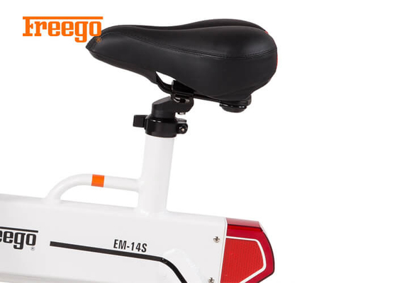In Lichtgewicht Vouwende Elektrische Fietsen/Dames Opvouwbare Elektrische Fiets