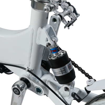 240W 36V Vouwbare Elektrische Fiets van de 14 Duim de Grote Band voor Dames paste Kleur aan