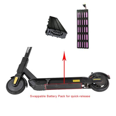 Draagbare van het Lithiumion battery for electric scooter van 13v 18650 FCC van Ce Goedkeuring