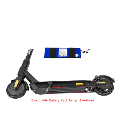Draagbare van het Lithiumion battery for electric scooter van 13v 18650 FCC van Ce Goedkeuring